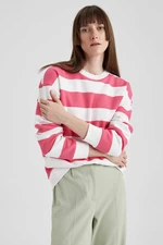 DEFACTO Relax Fit Striped Long Sleeve Sweatshirt