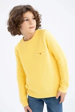 DEFACTO Boy Regular Fit Crew Neck Pullover