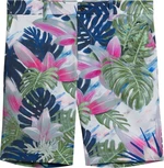 J.Lindeberg Tim Print Oil Green 33 Shorts