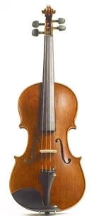 Stentor Elysia 4/4 Akustische Violine