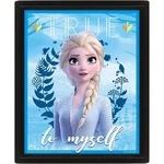 Epee Merch 3D obraz Frozen