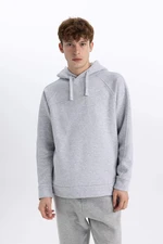 DEFACTO Oversize Fit Long Sleeve Sweatshirt