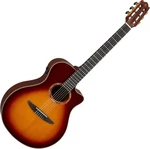 Yamaha NTX3BS Brown Sunburst