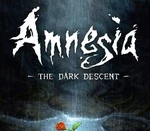 Amnesia: The Dark Descent Epic Games Account