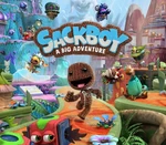 Sackboy: A Big Adventure PlayStation 4 Account