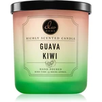 DW Home Signature Guava Kiwi vonná sviečka 283 g