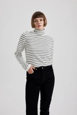 DEFACTO Regular Fit Turtleneck Basic Sweater