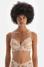 Dagi Brown Mesh Detail Unfilled Underwire Lace Bra.