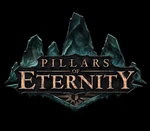 Pillars of Eternity Hero Edition Steam CD Key