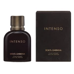 Dolce & Gabbana Pour Homme Intenso - EDP 2 ml - odstřik s rozprašovačem