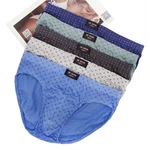 5Pcs/Lot Cotton Underpants Casual Dot Underwear For Male Plus Size Men Briefs L-4XL