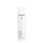 Caudalie Pleťová mlha Grape Water (Face Mist) 300 ml