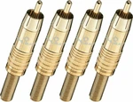 Oehlbach CJG 51 5,5mm Gold 4 pcs