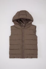 DEFACTO Baby Boy Water Repellent Water Repellent Buttoned Puffer Vest A2221A524Au