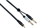 Bespeco EAYMSJ500 5 m Cable de audio