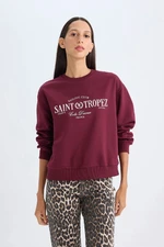 DEFACTO Regular Fit Crew Neck Printed Sweatshirt