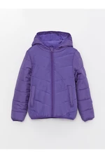 LC Waikiki Girl's Down Jacket with a Hood