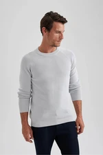 DEFACTO Standard Fit Crew Neck Knitwear Pullover