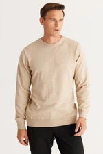 ALTINYILDIZ CLASSICS Men's Beige Standard Fit Normal Cut Crew Neck Knitwear Sweater