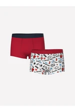 LC Waikiki Printed Boy's Boxer Set of 2