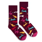 Banana Socks Unisex's Socks Classic Meow