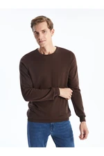 LC Waikiki Lcw Crew Neck Long Sleeve Men's Knitwear Sweater