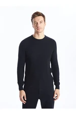 LC Waikiki Crew Neck Long Sleeve Men's Knitwear Sweater