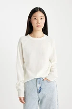 DEFACTO Regular Fit Soft Textured Crew Neck Basic Plain Knitwear Sweater