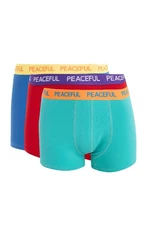 DEFACTO Regular Fit 3-pack Boxer