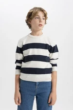 DEFACTO Boy's Crew Neck Striped Knitwear Sweater