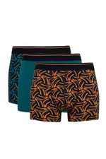 DEFACTO Regular Fit 3-Pack Boxer