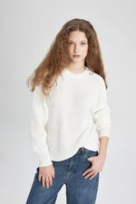 DEFACTO Regular Fit Crew Neck Thessaloniki Fabric Basic Plain Knitwear Sweater