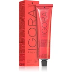 Schwarzkopf Professional IGORA Royal farba na vlasy odtieň 6-23 Dark Blonde 60 ml