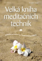 Kniha: Velká kniha meditačních technik od Siegel D. Ronald