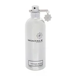 Montale Ginger Musk 100 ml parfémovaná voda unisex