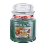 Yankee Candle Alfresco Afternoon 411 g vonná svíčka unisex