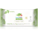 Dove Baby Biodegradable Wipes detské jemné vlhčené obrúsky 75 ks