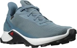 Salomon Alphacross 3 GTX EU 40, Bluest/Wht/Malla Dámské boty