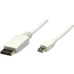 DisplayPort kabel Manhattan [1x mini DisplayPort zástrčka - 1x zástrčka DisplayPort] bílá 3.00 m