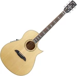 Framus FC 44 SMV VNT CE Vintage Natural Chitarra Semiacustica Jumbo