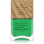 Nails Inc. Vegan Nail Polish dlhotrvajúci lak na nechty odtieň Mother Earth's Calling 14 ml