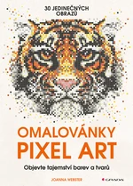 Omalovánky Pixel Art, Webster Joanna