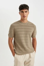 DEFACTO Standard Fit Crew Neck Cotton Short Sleeve T-Shirt