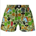 Men's boxer shorts Represent exclusive Ali end of unique