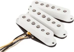 Fender Custom Shop Texas Special Stratocaster Pickups Chitarra