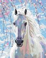 Zuty Diamantové maľovanie Biely kôň