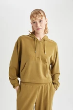 DEFACTO Fit Oversize Premium Hooded Athlete Sweatshirt