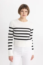 DEFACTO Relax Fit Crew Neck Knitwear Sweater