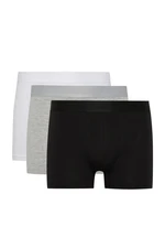 DEFACTO Men's Regular Fit 3-Pack Boxer