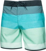 AQUA SPEED Man's Swimming Shorts Nolan